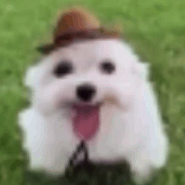 Ino